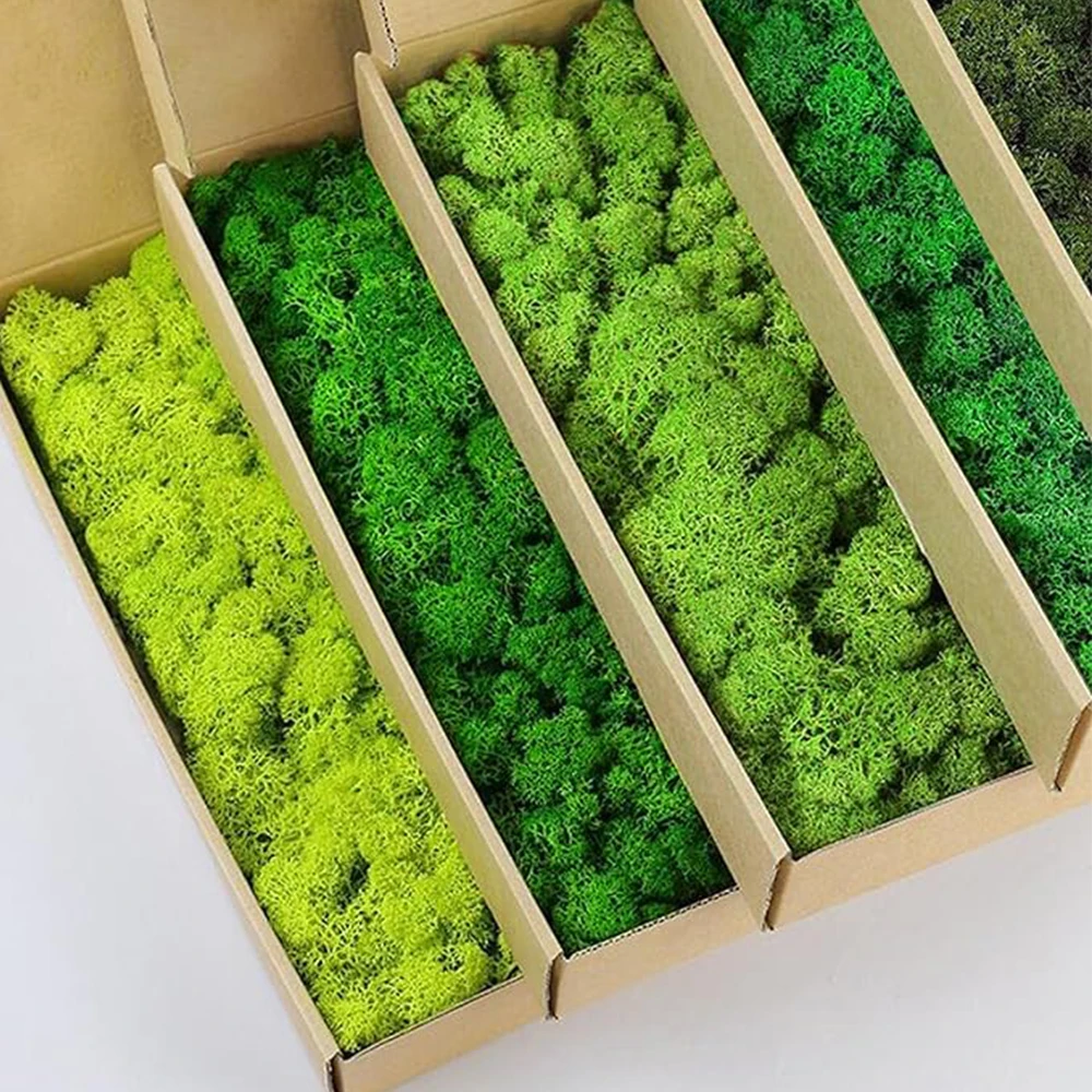 Terrarium Moss Art - 20-200g Artificial Green Plants Fake Grass