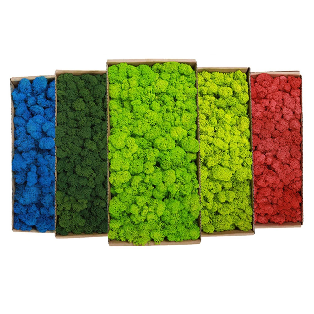 20-200g Artificial Green Plant - Terrarium Moss Art review and price