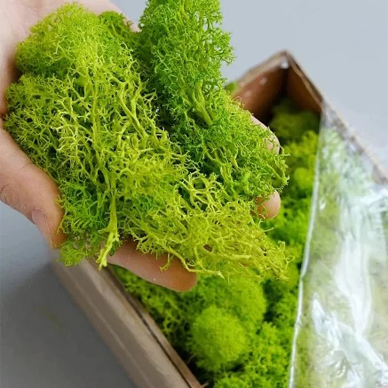 20-200g Artificial Green Plant - Terrarium Moss Art review and price
