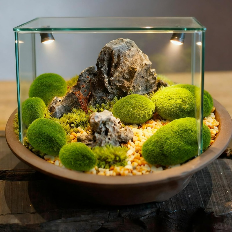50/5PCS Artificial Foam Moss R - Terrarium Moss Art review and price
